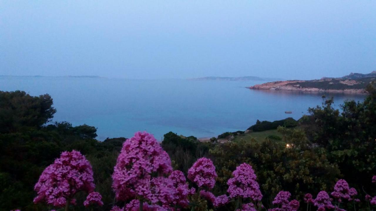 Appartamento Fronte Mare Santa Teresa di Gallura Esterno foto
